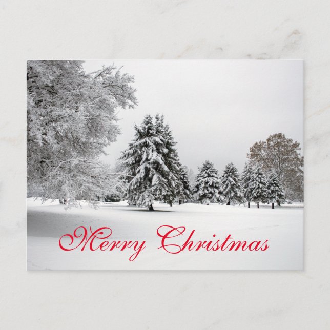 Simple Elegant Red Decor Snow Merry Christmas Holiday Postcard (Front)