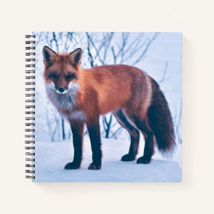Simple Elegant Red Fox Artwork   Notebook