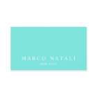 Simple Elegant Turquoise Professional