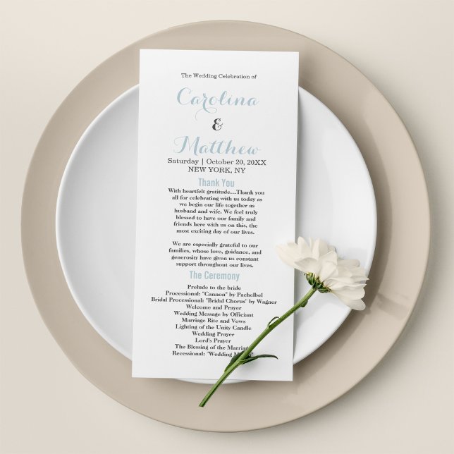 Simple elegant white pastel blue modern Program Programme (Simple elegant white pastel blue modern Program)