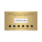 Simple Faux Gold Customer Loyalty Punch Card