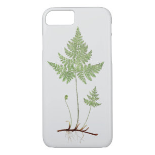 Simple fern, iPhone 8/7 case