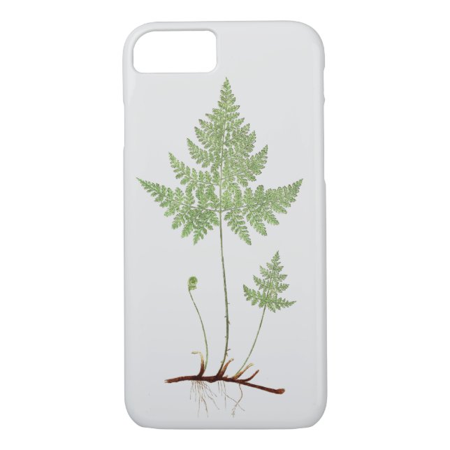 Simple fern, Case-Mate iPhone case (Back)