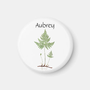 Simple Fern, Magnet