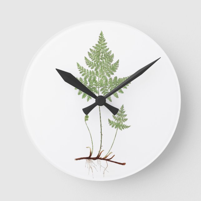 Simple Fern, Round Clock (Front)