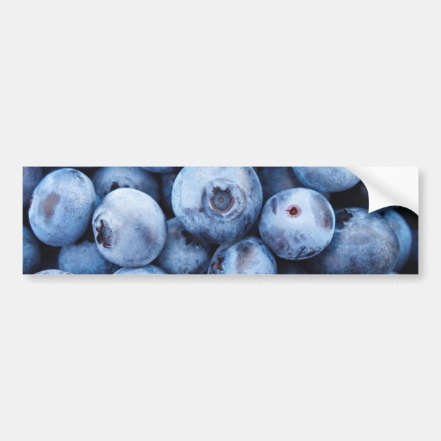 Simple Foodie Blueberry Pattern Bumper Sticker (Front)