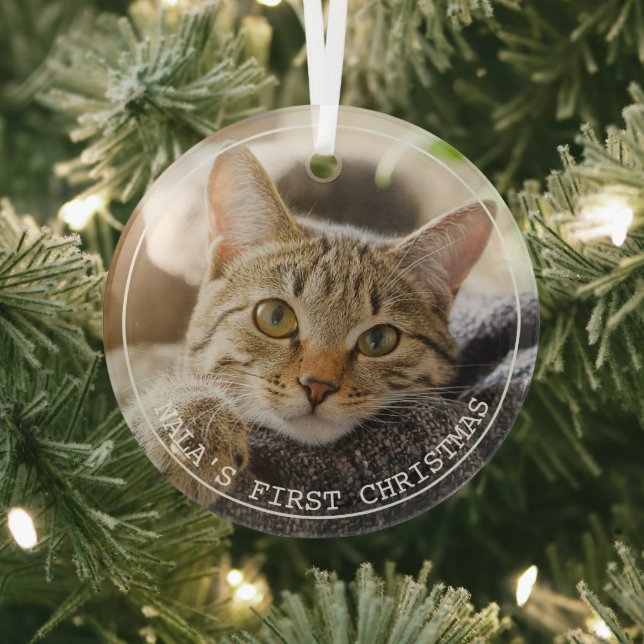 Simple Frame Animal Pet Photo Ornament (Insitu)