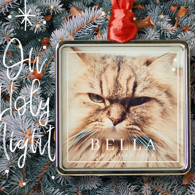 Simple Frame Modern Chic Family Pet Photo Holiday Metal Tree Decoration (Creator Uploaded)