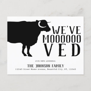 Simple Funny Cow We've Moved New Address Moving Announcement Postcard