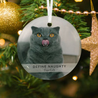 Simple Funny 'Define Naughty' Pet Photo Keepsake