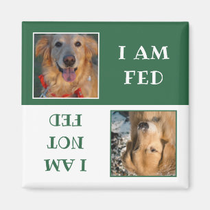 Simple Green White Dog Fed Photo Magnet