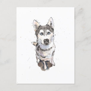 simple Grey Husky cute funny dog Postcard