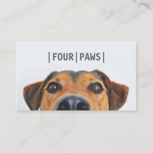 Simple grey pet photography cute dog photo plain business card