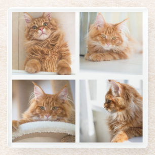 Simple Grid Collage 4 Four Photos Glass Coaster