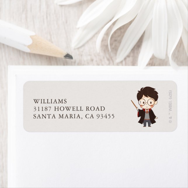 Simple Harry Potter Baby Shower (Insitu)