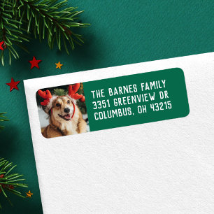 Simple holiday pet photo green return address