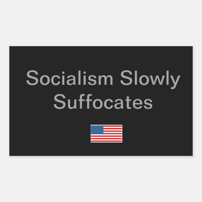 Simple Idea for the Political Season Rectangular Sticker (Front)