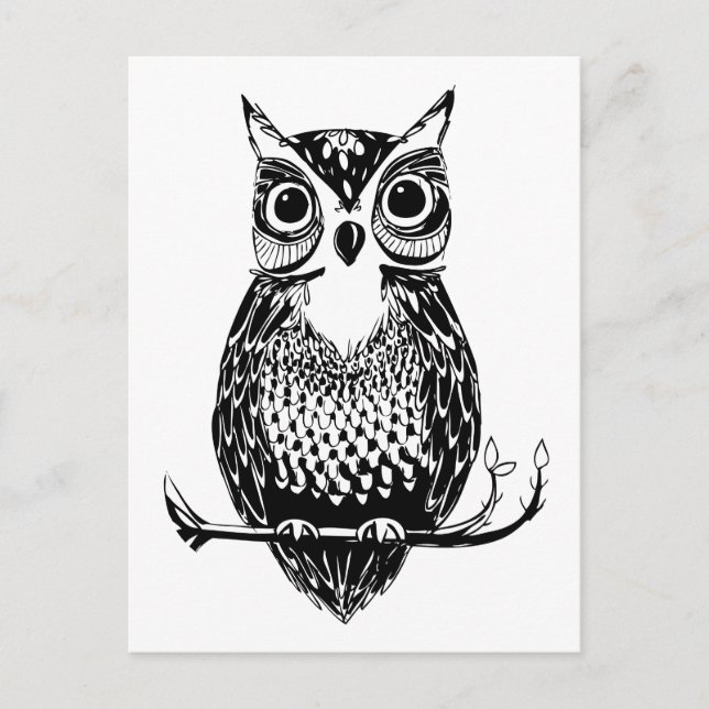 Simple Illustrated Owl Postcard (Front)