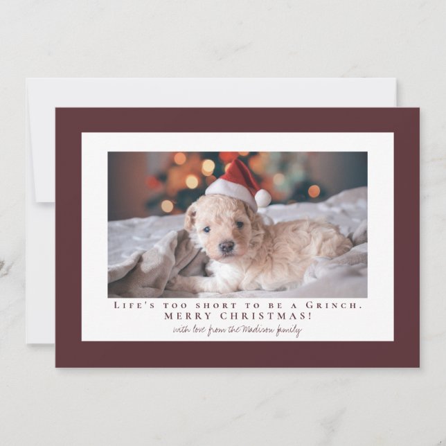 Simple Light Chocolate Cosmos frame photo  Holiday Card (Front)