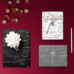 Simple Math Formulas Equations Wrapping Paper Sheet