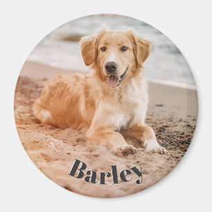 Simple Minimal Pet Dog Photo Name Modern Cute Magnet