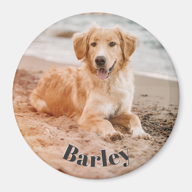 Simple Minimal Pet Dog Photo Name Modern Cute Magnet (Front)