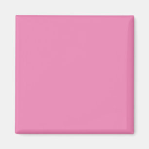 simple minimal solid color custom skateboard key magnet