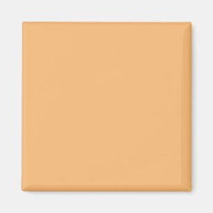 simple minimal solid colour custom magnet