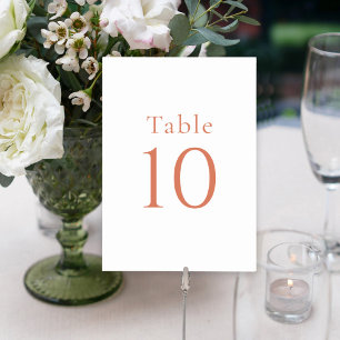 Simple Minimal White Citrus Grove Table Numbers