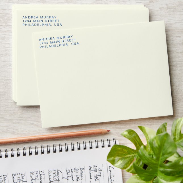 Simple Minimalist Modern Ivory Professional  Envelope (Stacked)