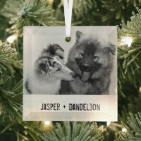 Simple, Modern Custom Pet or People