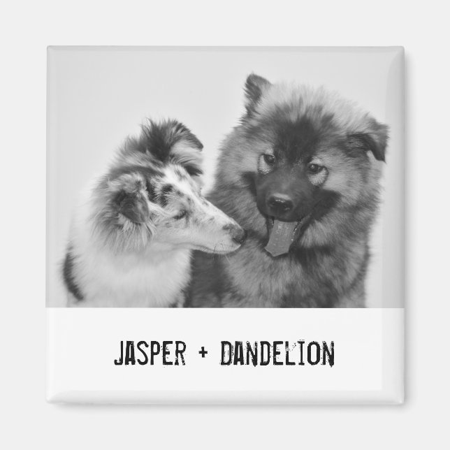 Simple, Modern Custom Pet or People Photo Magnet (Front)
