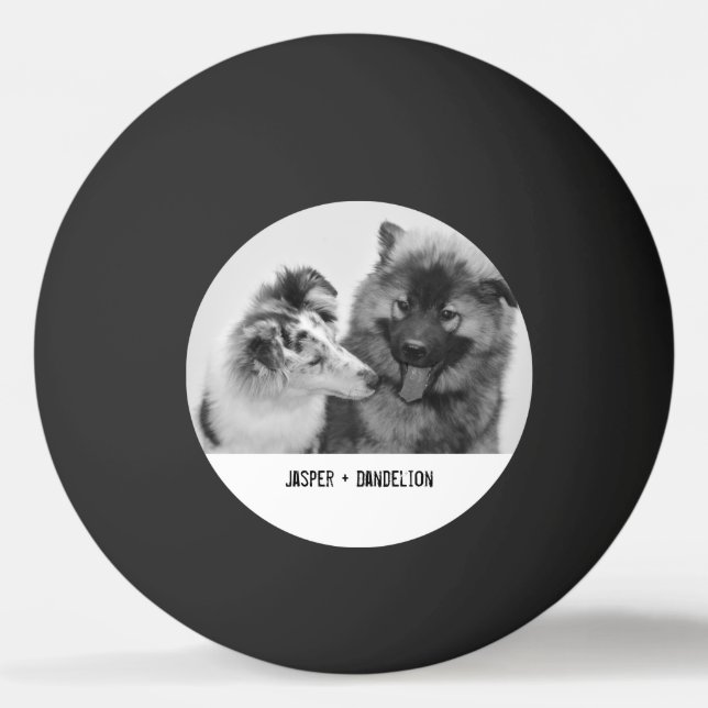 Simple, Modern Custom Pet or People Photo Ping Pong Ball (Front)