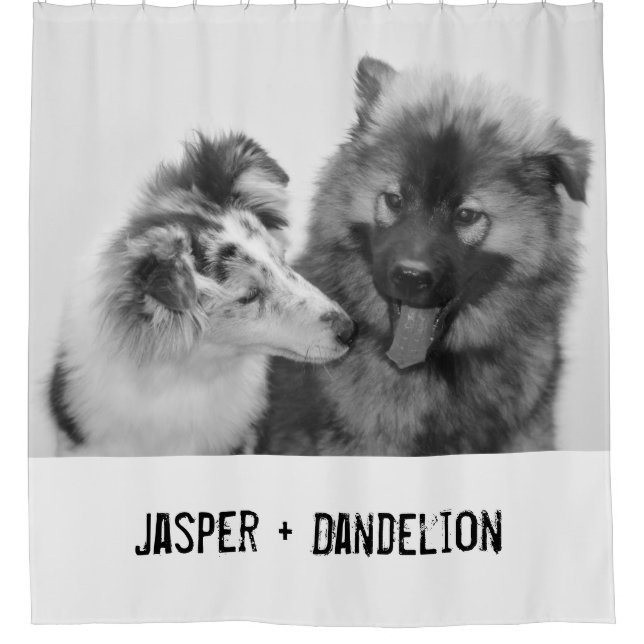 Simple, Modern Custom Pet or People Photo Shower Curtain (Front)