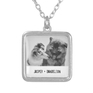 Simple, Modern Custom Pet or People Photo Silver Plated Necklace