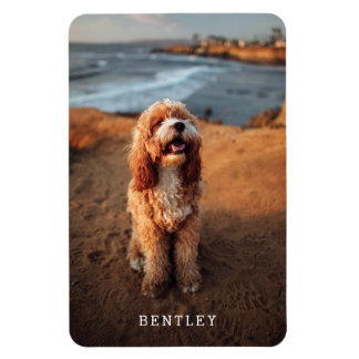 Simple Modern Full Photo Dog Pet | White Magnet