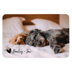 Simple Modern Full Photo Pet Dog   Horizontal Magnet