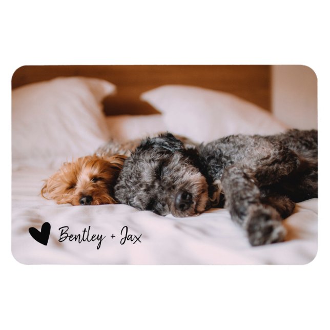Simple Modern Full Photo Pet Dog | Horizontal Magnet (Horizontal)