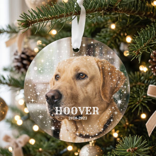 Simple Modern In Memory of Custom Pet Ornament