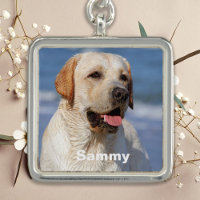 Simple Modern Personalised Pet Dog Family Photo