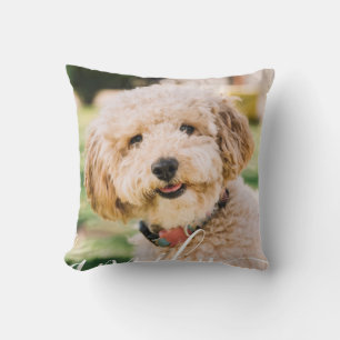 Simple Modern Pet Photo Script Love Cushion