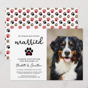 Simple Modern Photo Dog Lover Pet Wedding Invitation