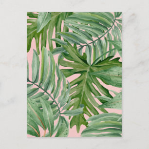 Simple Modern Pink Palm Leaf Tropical Floral  Postcard