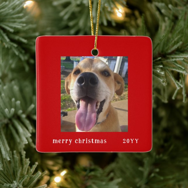 Simple Modern Red Frame Family Pet Photo Holiday Ceramic Ornament (Tree)