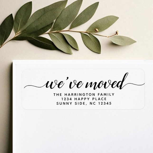 Simple Modern Script We've Moved New address (Creator Uploaded)