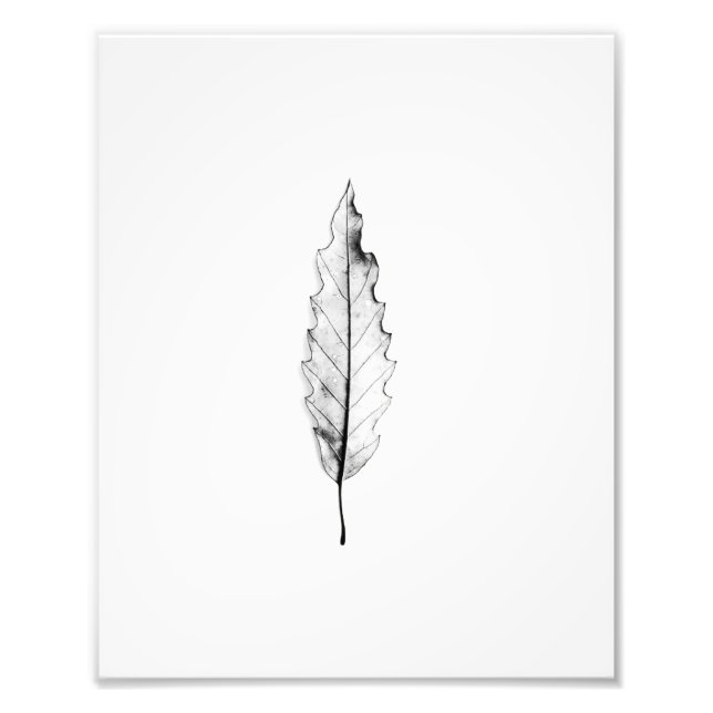 Simple Nature Minimalist Black and White Cool Leaf Photo Print (Front)