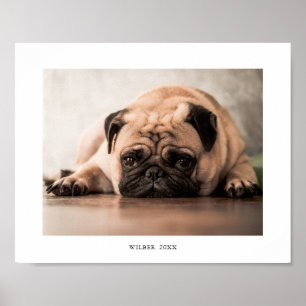Simple Personalised Pet Photo and Name Print