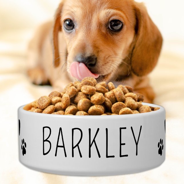 Simple Pet Dog Personalised Food Water Ceramic Bowl (Creator Uploaded)
