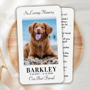 Simple Pet Memorial Photo Sympathy Prayer Card
