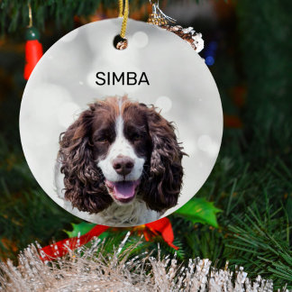 Simple Pet Photo and Name Ceramic Tree Decoration